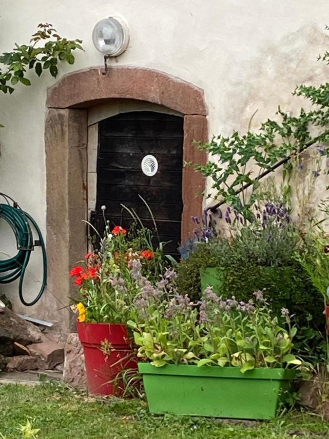 Guest house Le Nid De Cigognes *
