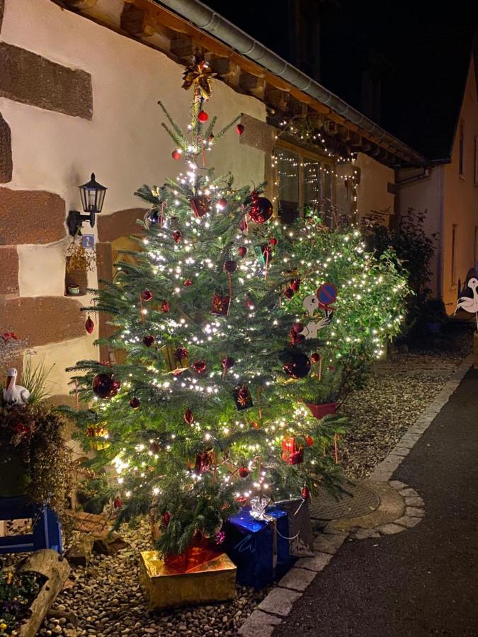 Guest house Le Nid De Cigognes