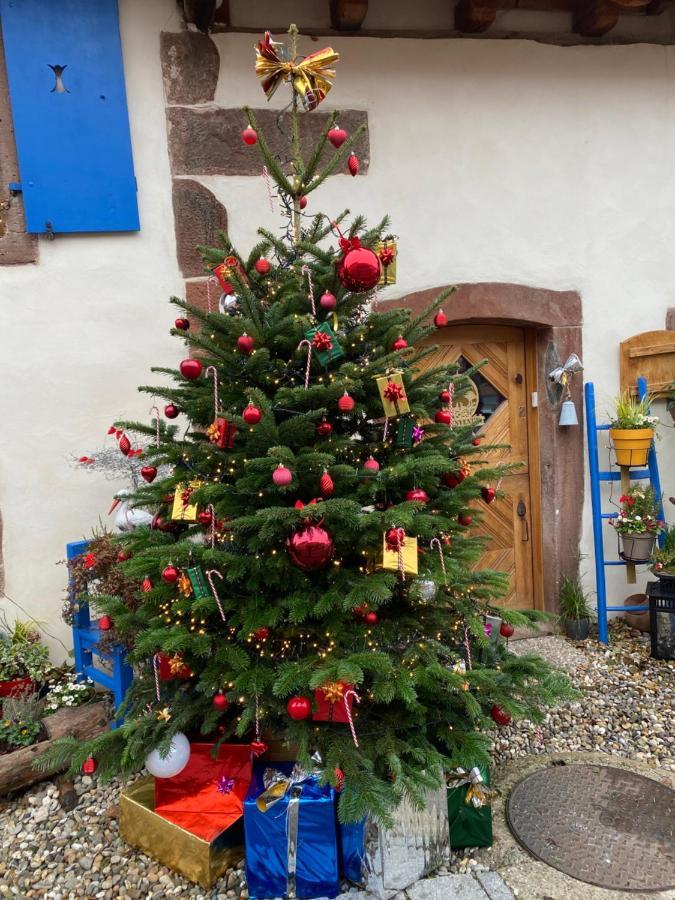 Le Nid De Cigognes Hengwiller