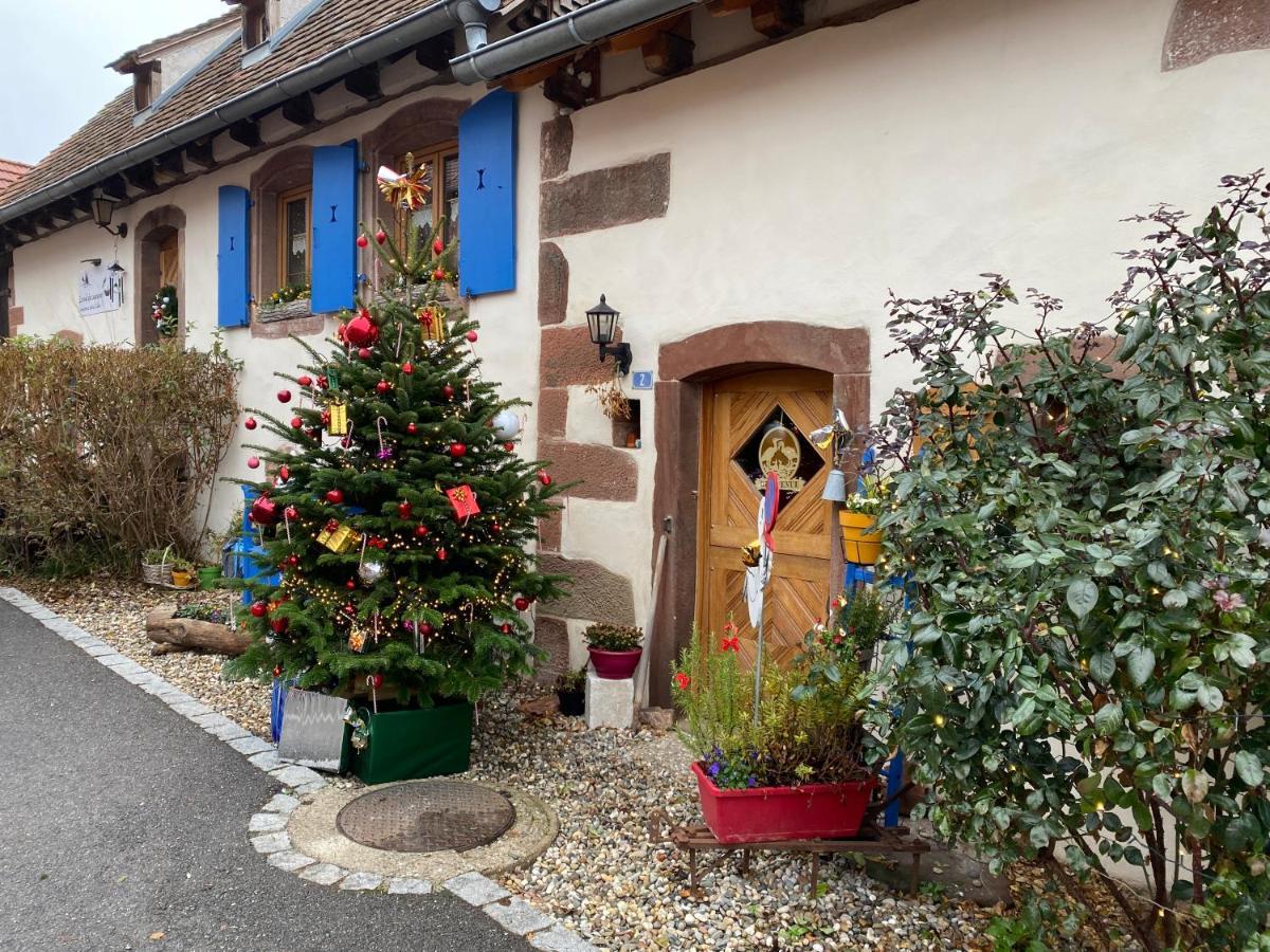 Le Nid De Cigognes Hengwiller