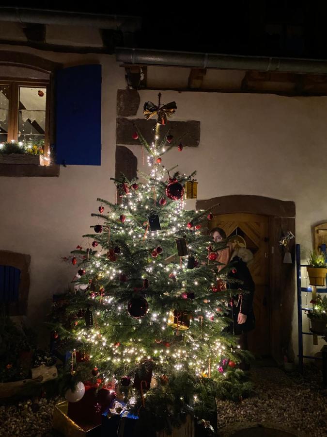 Guest house Le Nid De Cigognes Hengwiller