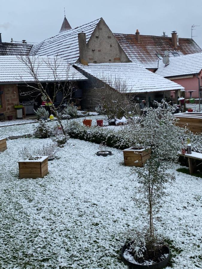 Guest house Le Nid De Cigognes Hengwiller
