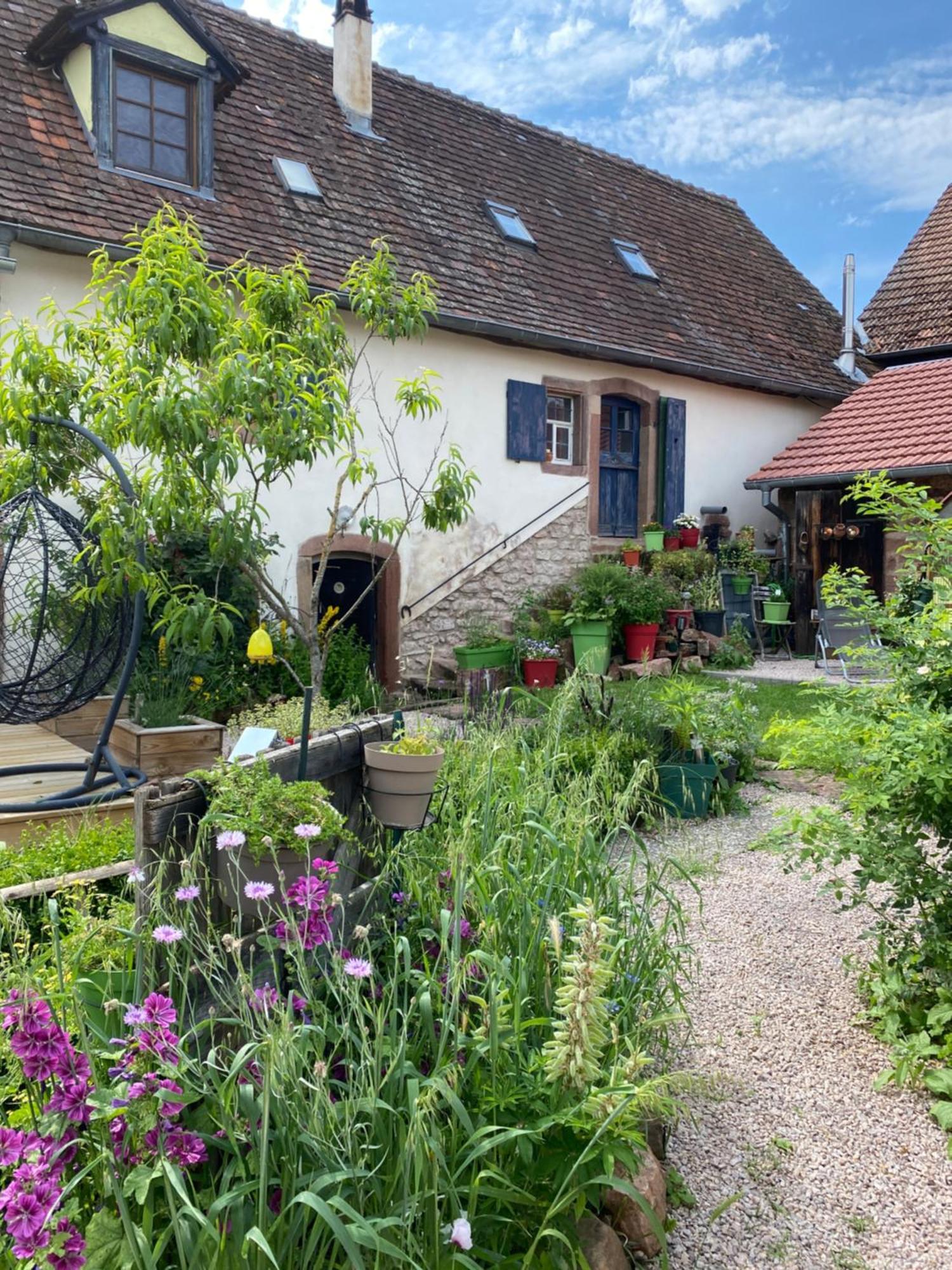 Le Nid De Cigognes Guest house Hengwiller