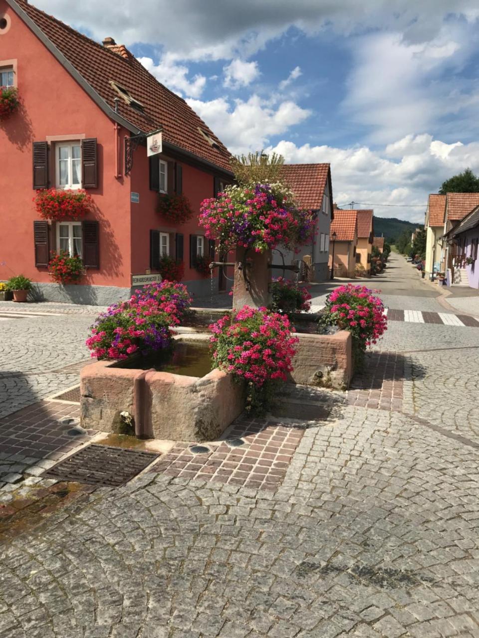 Le Nid De Cigognes Hengwiller