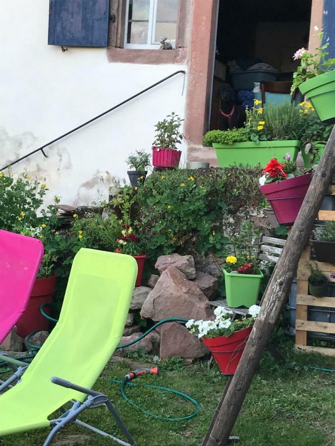 Guest house Le Nid De Cigognes *