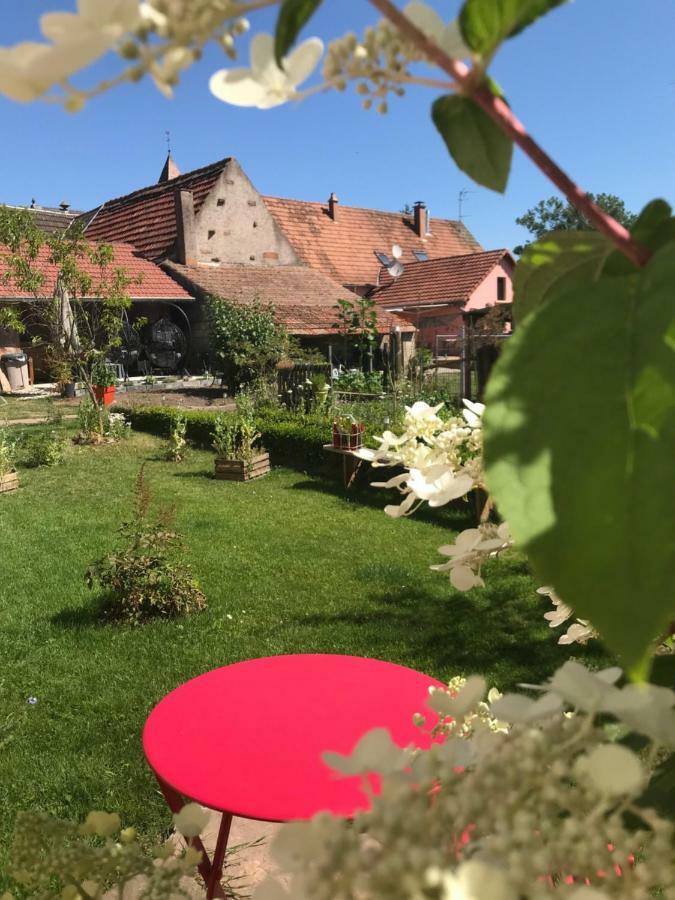 Guest house Le Nid De Cigognes *